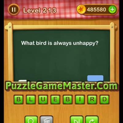 Word Riddles Level 213