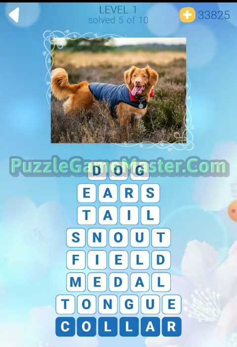 Sunny Words Level 1 Answers [All Images] » Puzzle Game Master