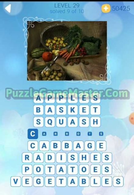 Sunny Words Level 29 Answers [All Images] » Puzzle Game Master