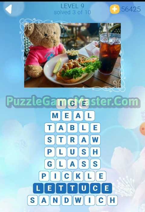 Sunny Words Level 9 Answers [All Images] » Puzzle Game Master