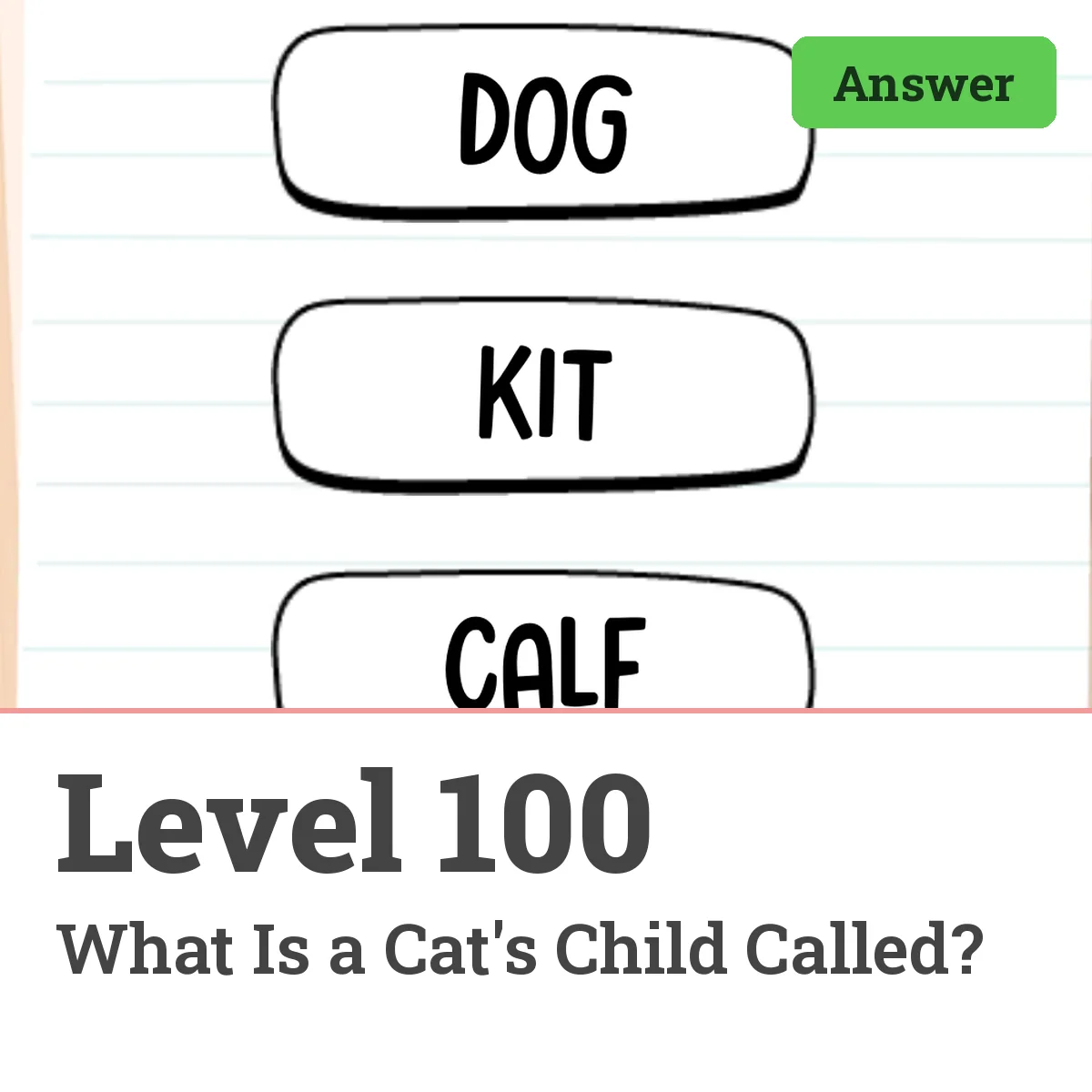 Brain Test: Tricky Puzzles Level 100 answer – What Is a Cat's Child Called?
