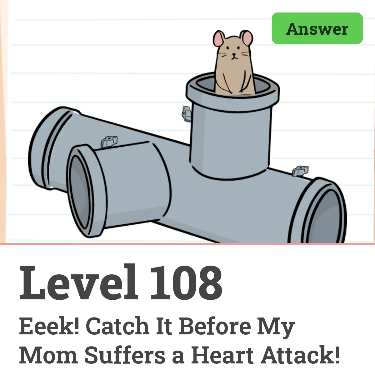 Brain Test: Tricky Puzzles Level 108 answer – Eeek! Catch It Before My Mom Suffers a Heart Attack!