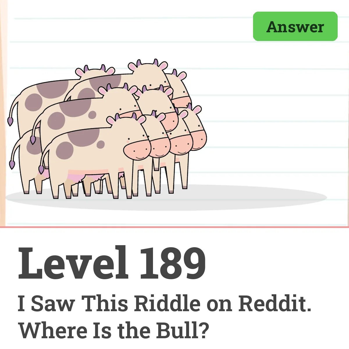 Brain Test: Tricky Puzzles Level 189 answer – I Saw This Riddle on Reddit. Where Is the Bull?