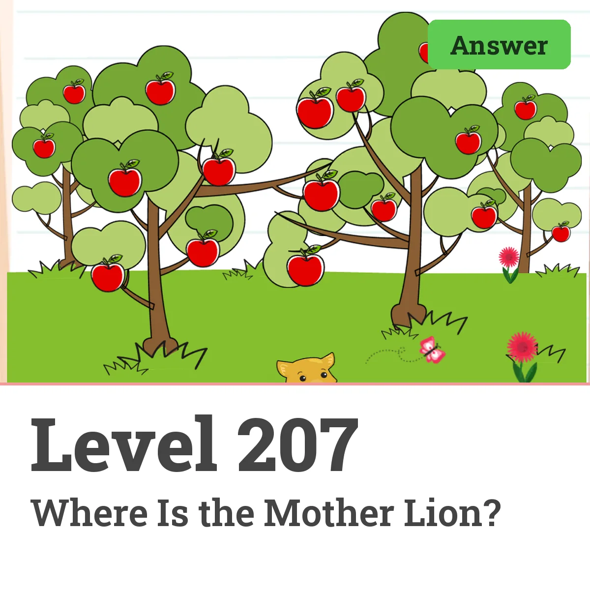 Brain Test: Tricky Puzzles Level 207 answer – Where Is the Mother Lion?