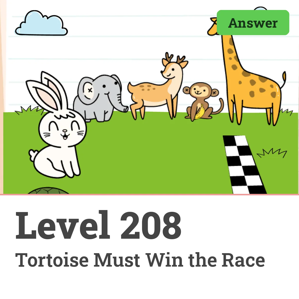 Brain Test: Tricky Puzzles Level 208 answer – Tortoise Must Win the Race
