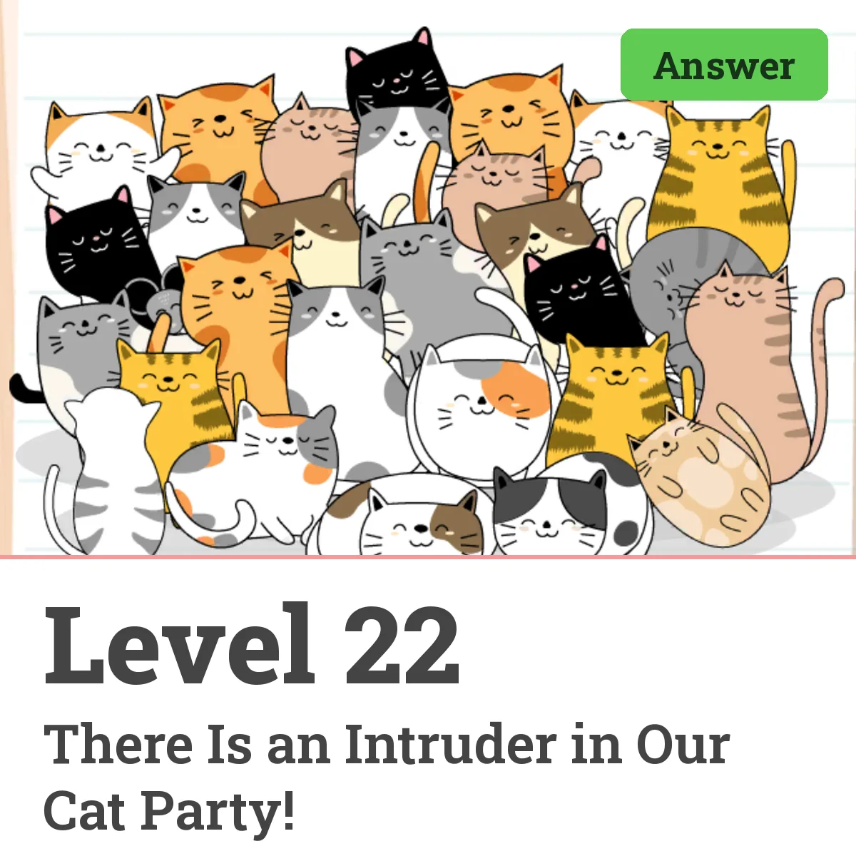 Brain Test: Tricky Puzzles Level 22 answer – There Is an Intruder in Our Cat Party!