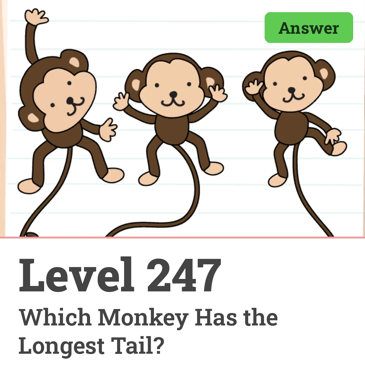 Brain Test: Tricky Puzzles Level 247 answer – Which Monkey Has the Longest Tail?