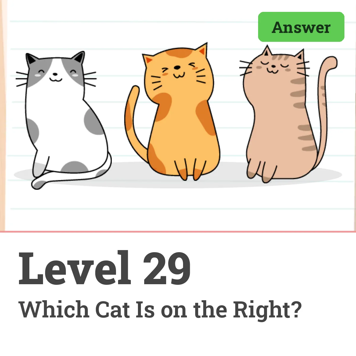 Brain Test: Tricky Puzzles Level 29 answer – Which Cat Is on the Right?