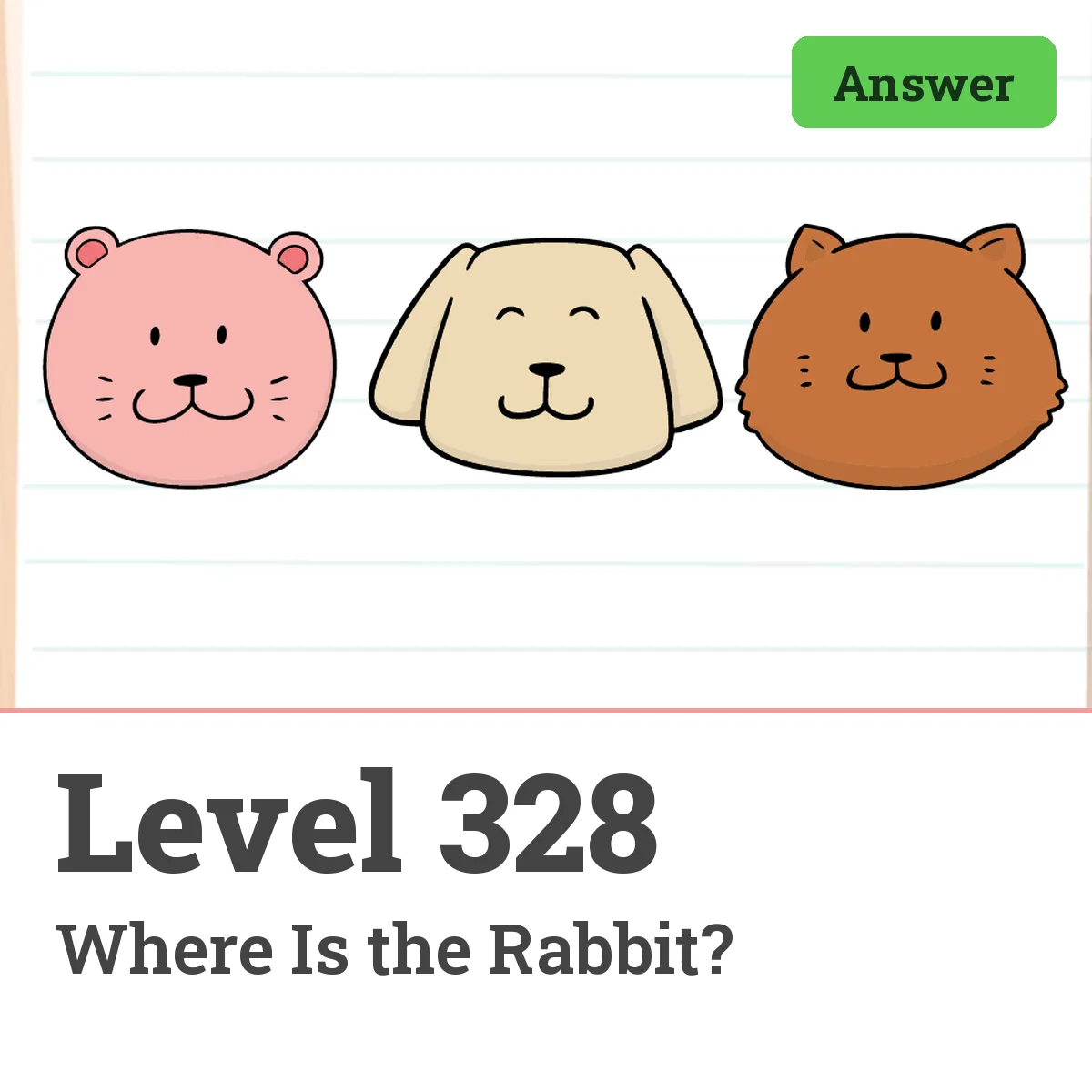 Brain Test: Tricky Puzzles Level 328 answer – Where Is the Rabbit?