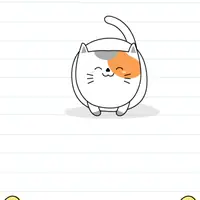 Brain Test: Tricky Puzzles Level 38 answer – It Is Too Dark! I Can't Find My Cat!
