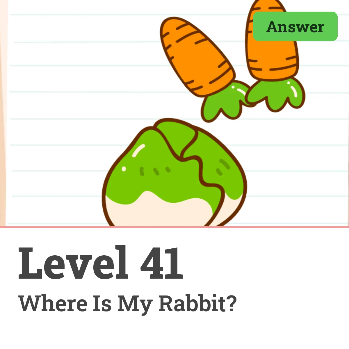 Brain Test: Tricky Puzzles Level 41 answer – Where Is My Rabbit?