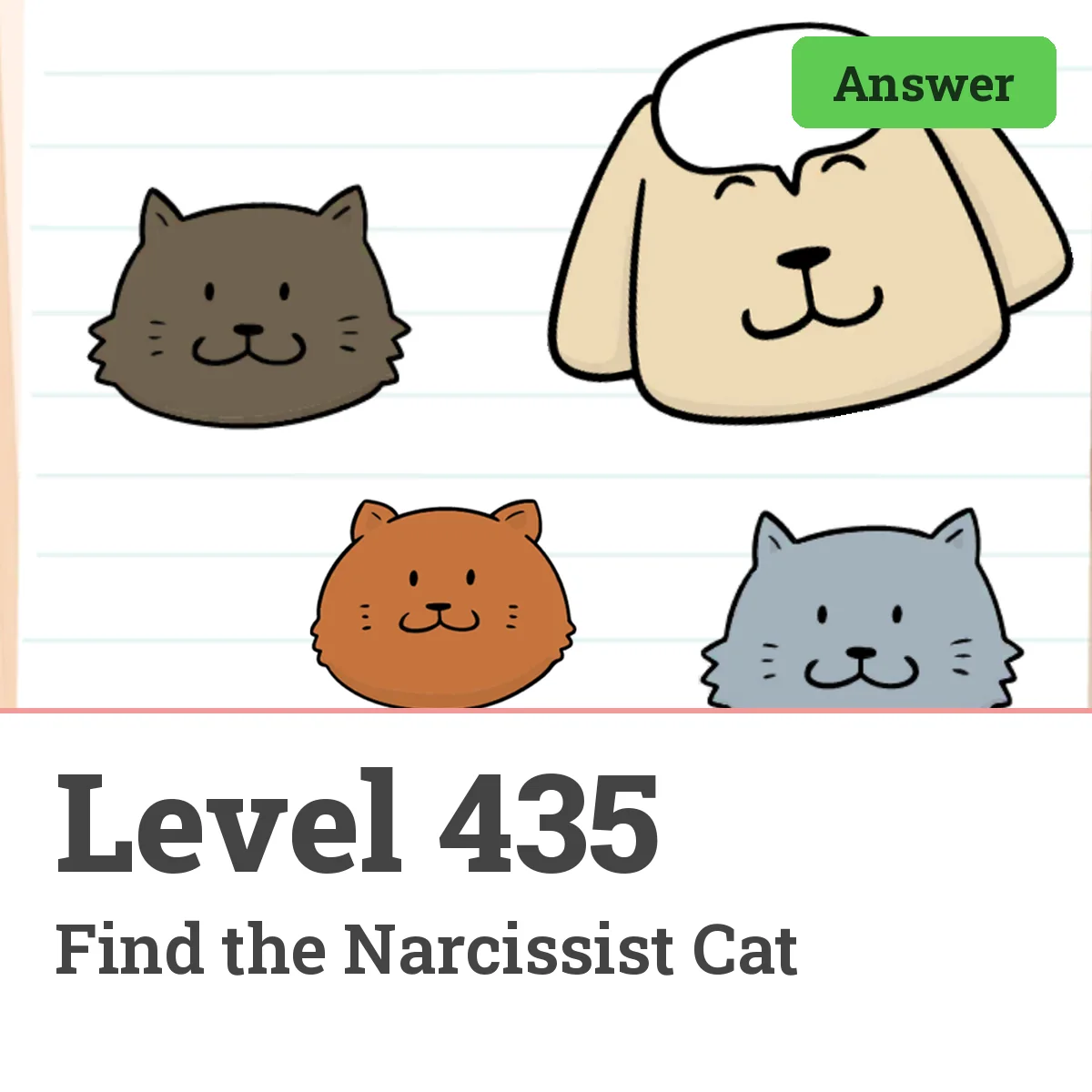 Brain Test: Tricky Puzzles Level 435 answer – Find the Narcissist Cat