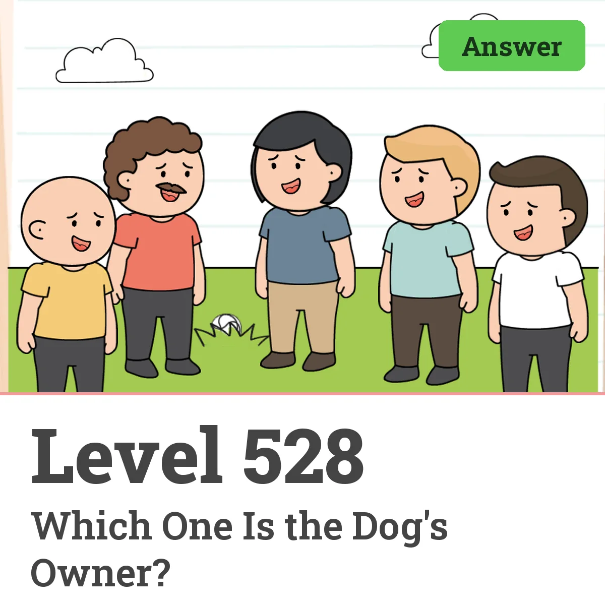 Brain Test: Tricky Puzzles Level 528 answer – Which One Is the Dog's Owner?