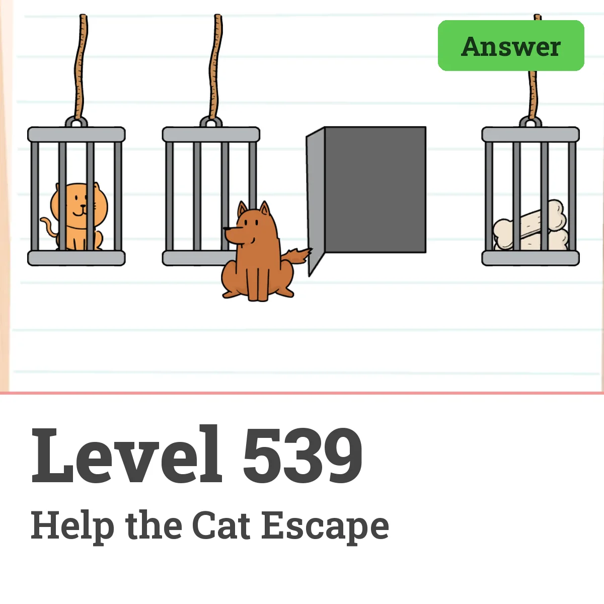 Brain Test: Tricky Puzzles Level 539 answer – Help the Cat Escape