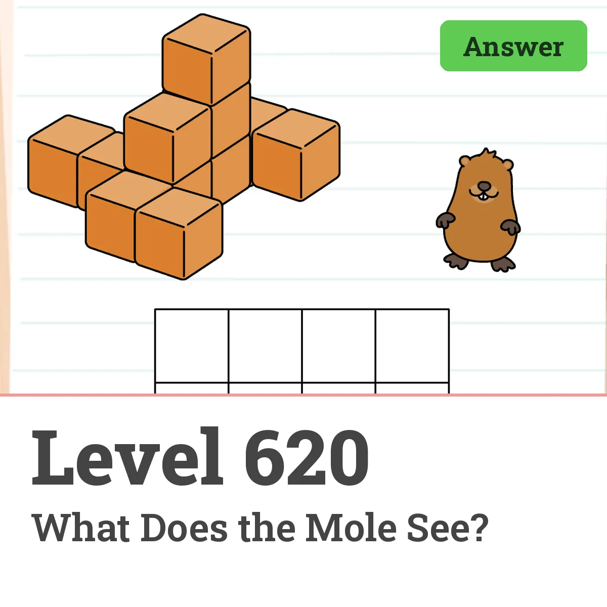 Brain Test: Tricky Puzzles Level 620 answer – What Does the Mole See?