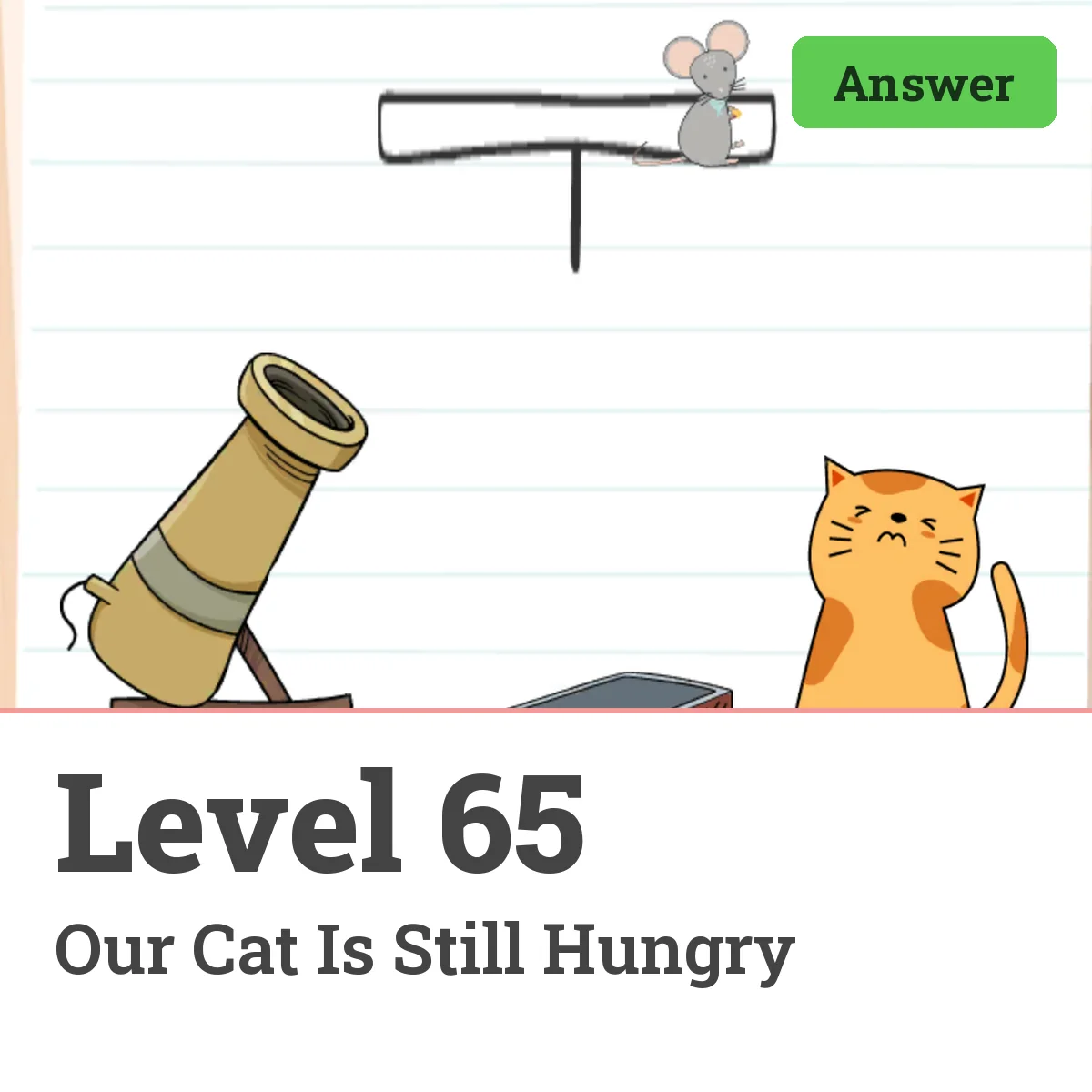 Brain Test: Tricky Puzzles Level 65 answer – Our Cat Is Still Hungry
